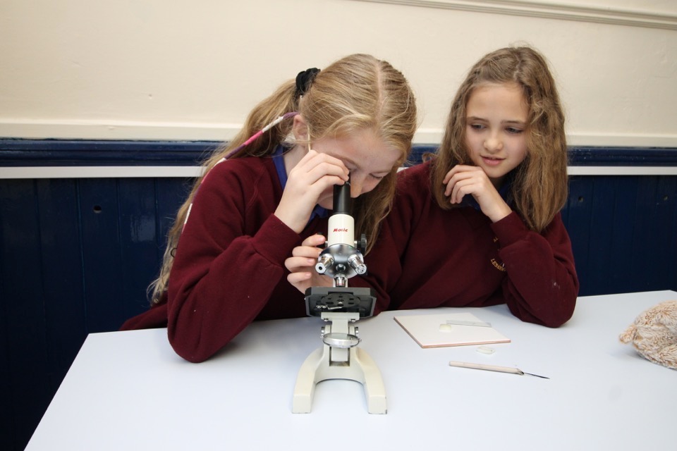 All Saints School, March 2019 (135) All Saints School, March 2019 (135)