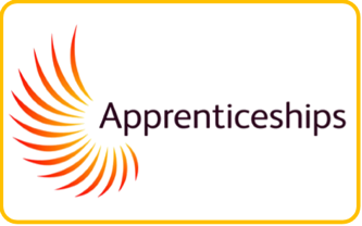 https://www.gov.uk/topic/further-education-skills/apprenticeships